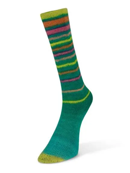 Laines du Nord Infinity Sock